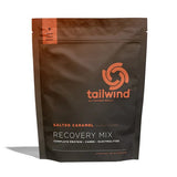 Tailwind Rebuild Recovery (15 Servings Bag)