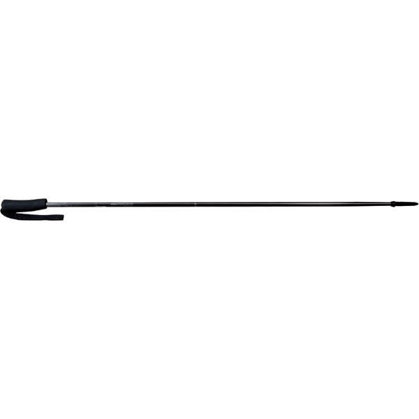 Gipron 309 V-Race Carbon, Poles, Gipron - Gone Running